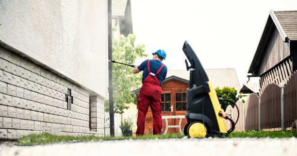 Best Residential Exterior Washing  in Royalton, IL